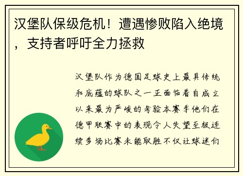 汉堡队保级危机！遭遇惨败陷入绝境，支持者呼吁全力拯救