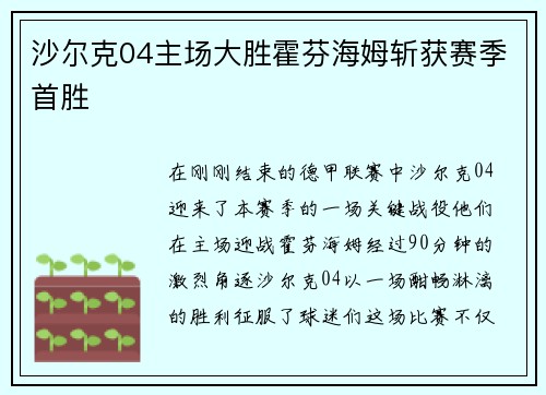 沙尔克04主场大胜霍芬海姆斩获赛季首胜
